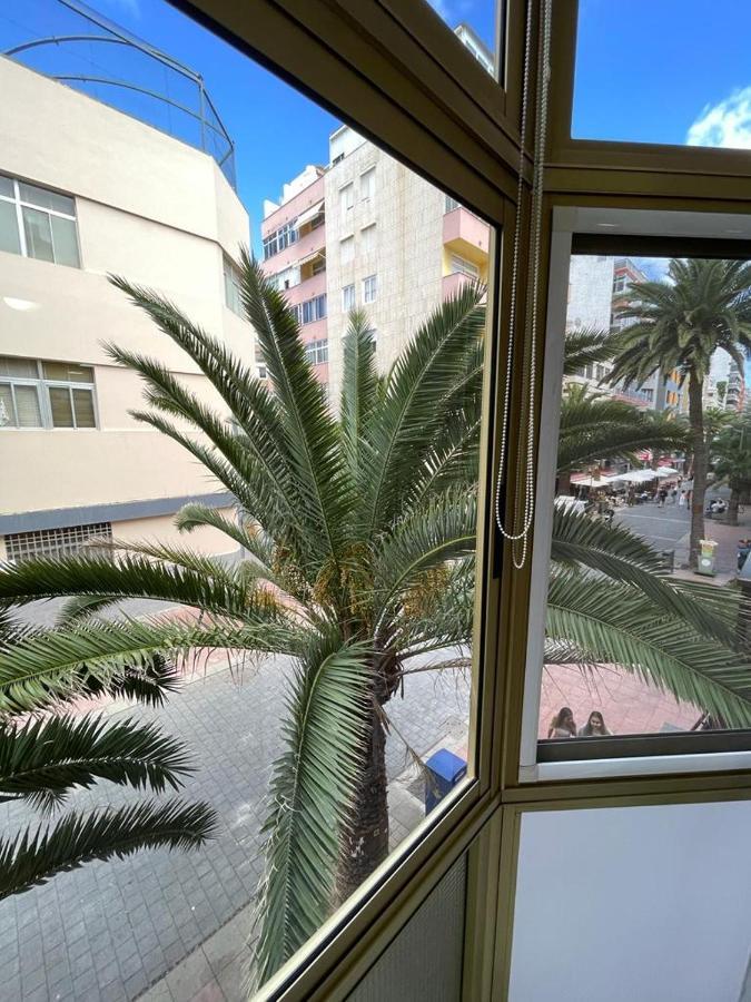 Palmeras 102 ラスパルマス・デ・グランカナリア エクステリア 写真
